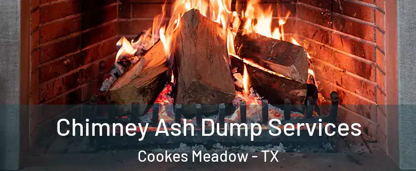Chimney Ash Dump Services Cookes Meadow - TX