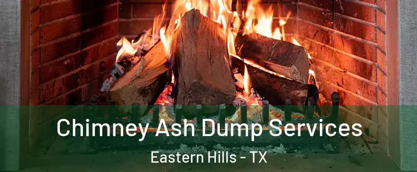 Chimney Ash Dump Services Eastern Hills - TX