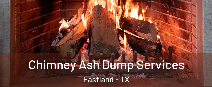 Chimney Ash Dump Services Eastland - TX