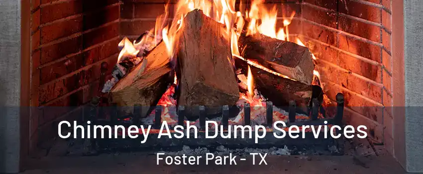 Chimney Ash Dump Services Foster Park - TX