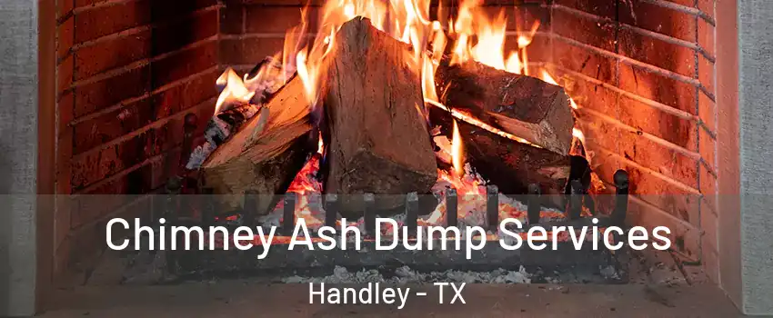 Chimney Ash Dump Services Handley - TX