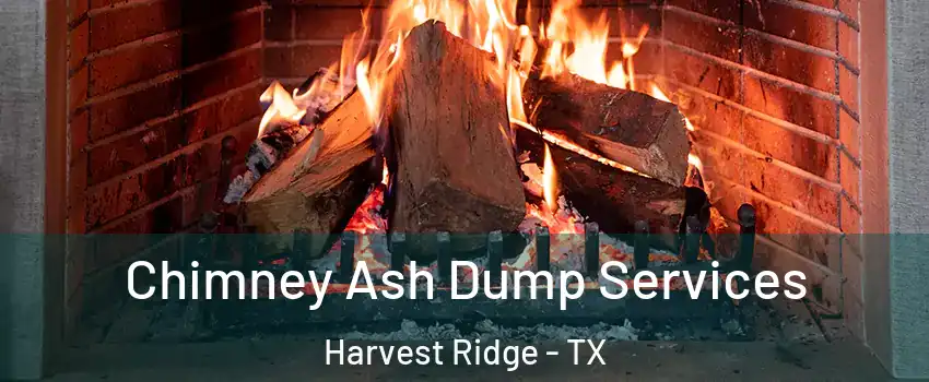 Chimney Ash Dump Services Harvest Ridge - TX