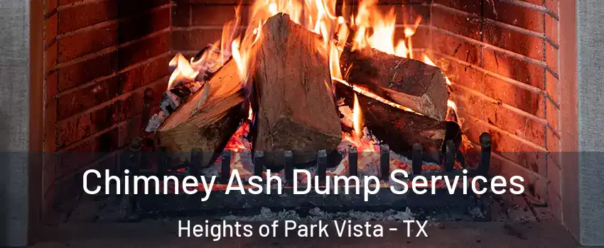 Chimney Ash Dump Services Heights of Park Vista - TX
