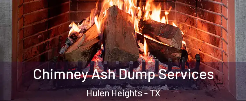Chimney Ash Dump Services Hulen Heights - TX