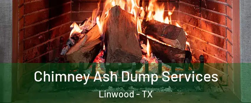 Chimney Ash Dump Services Linwood - TX