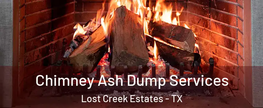 Chimney Ash Dump Services Lost Creek Estates - TX