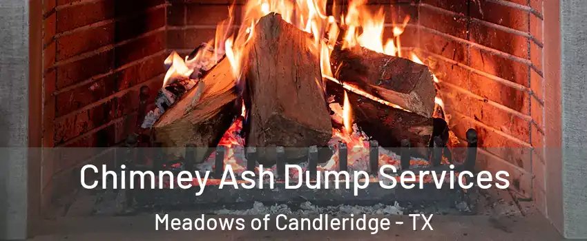 Chimney Ash Dump Services Meadows of Candleridge - TX