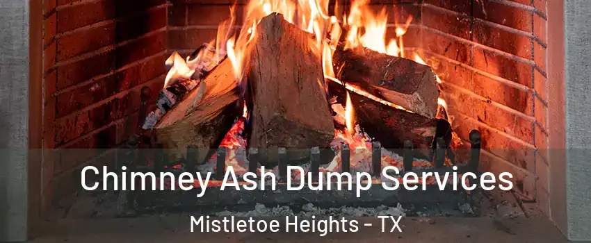 Chimney Ash Dump Services Mistletoe Heights - TX