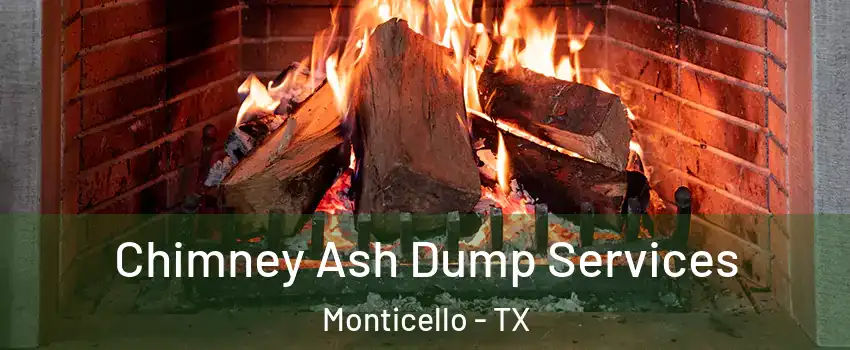 Chimney Ash Dump Services Monticello - TX