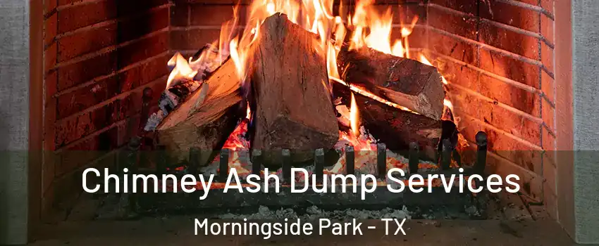 Chimney Ash Dump Services Morningside Park - TX