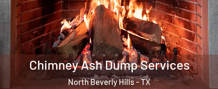 Chimney Ash Dump Services North Beverly Hills - TX