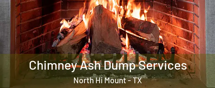Chimney Ash Dump Services North Hi Mount - TX