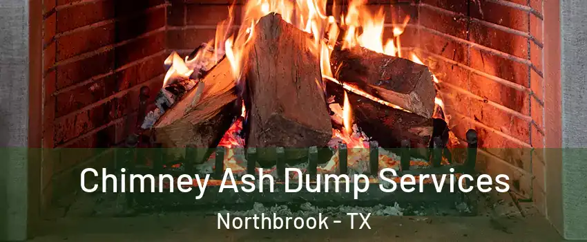 Chimney Ash Dump Services Northbrook - TX