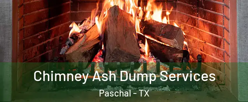 Chimney Ash Dump Services Paschal - TX