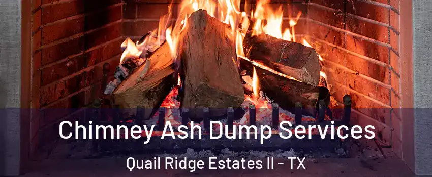 Chimney Ash Dump Services Quail Ridge Estates II - TX