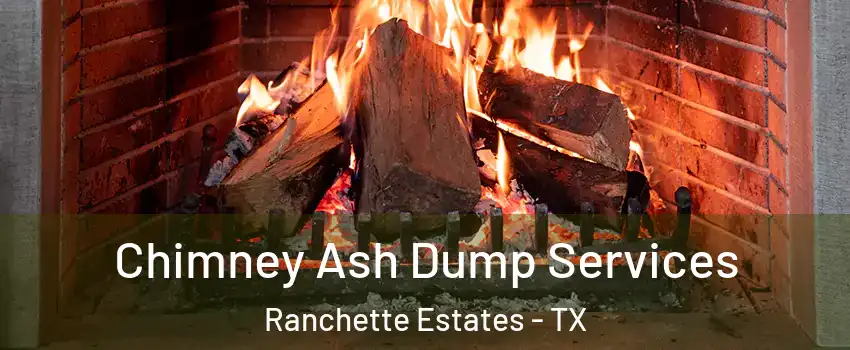 Chimney Ash Dump Services Ranchette Estates - TX
