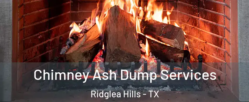 Chimney Ash Dump Services Ridglea Hills - TX
