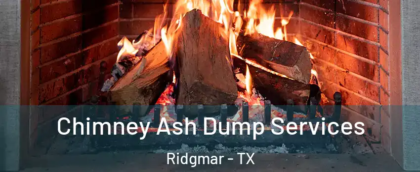 Chimney Ash Dump Services Ridgmar - TX