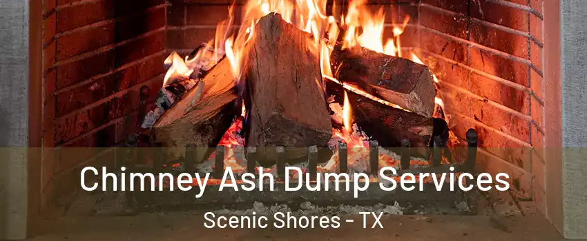 Chimney Ash Dump Services Scenic Shores - TX