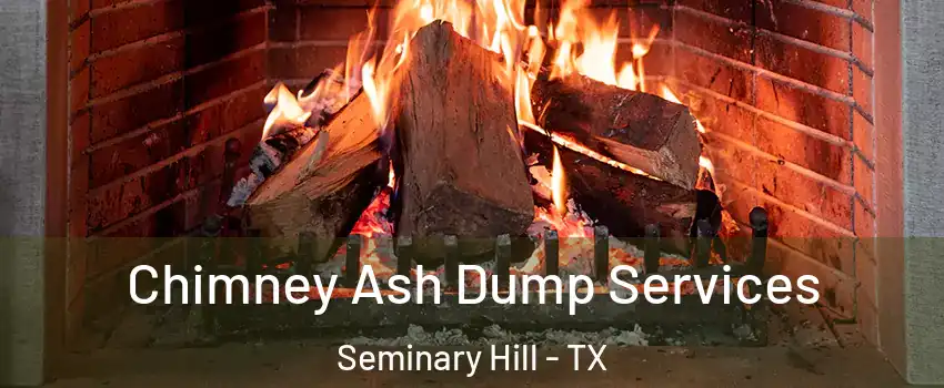 Chimney Ash Dump Services Seminary Hill - TX