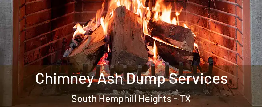 Chimney Ash Dump Services South Hemphill Heights - TX
