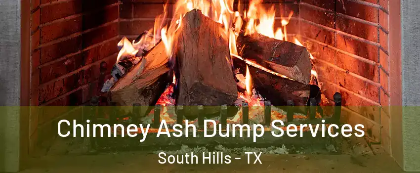 Chimney Ash Dump Services South Hills - TX