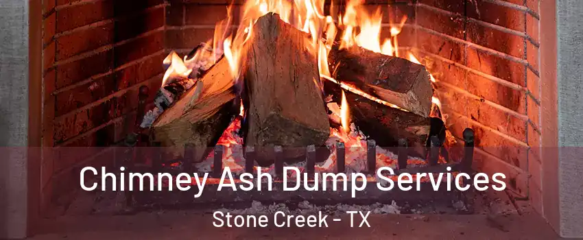 Chimney Ash Dump Services Stone Creek - TX