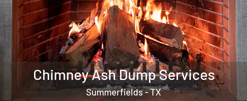 Chimney Ash Dump Services Summerfields - TX
