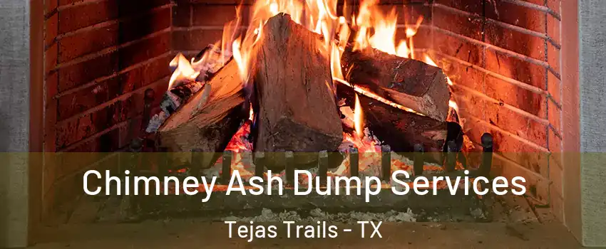 Chimney Ash Dump Services Tejas Trails - TX
