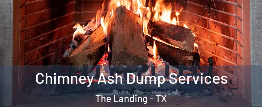 Chimney Ash Dump Services The Landing - TX
