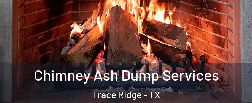 Chimney Ash Dump Services Trace Ridge - TX