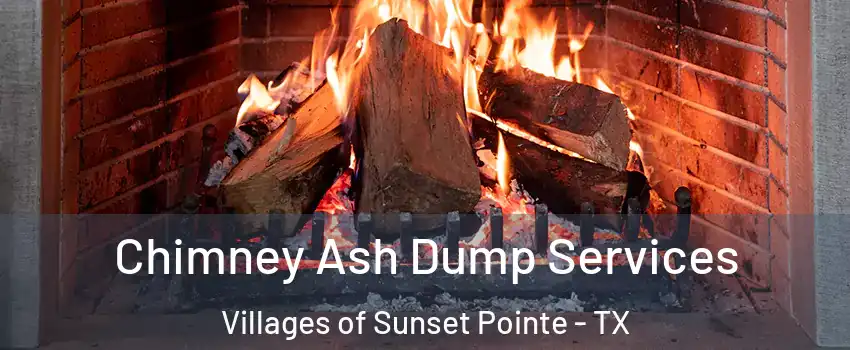 Chimney Ash Dump Services Villages of Sunset Pointe - TX