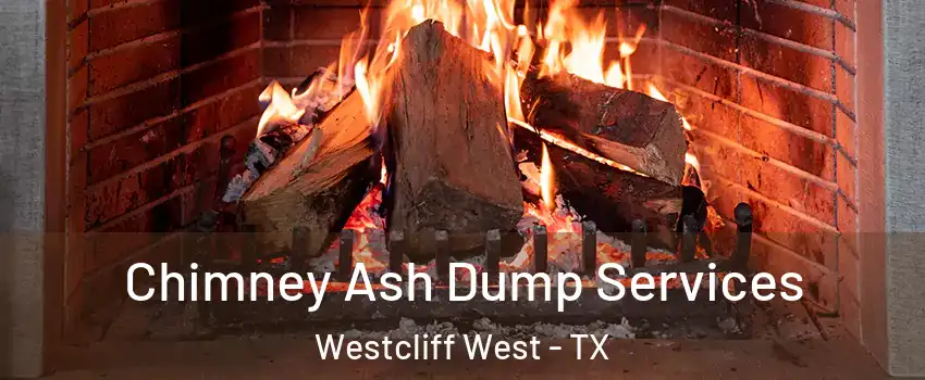 Chimney Ash Dump Services Westcliff West - TX