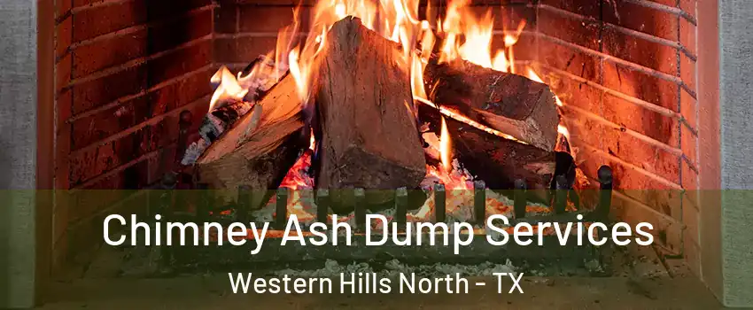 Chimney Ash Dump Services Western Hills North - TX