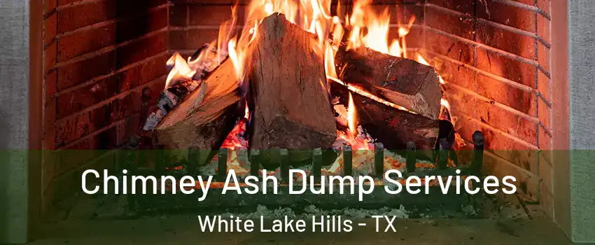 Chimney Ash Dump Services White Lake Hills - TX