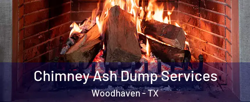 Chimney Ash Dump Services Woodhaven - TX