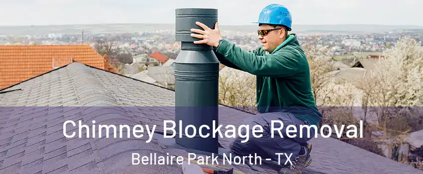 Chimney Blockage Removal Bellaire Park North - TX