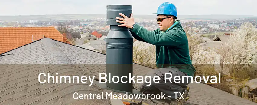 Chimney Blockage Removal Central Meadowbrook - TX