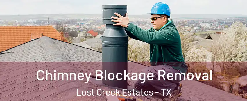 Chimney Blockage Removal Lost Creek Estates - TX