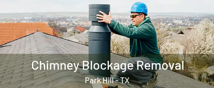 Chimney Blockage Removal Park Hill - TX
