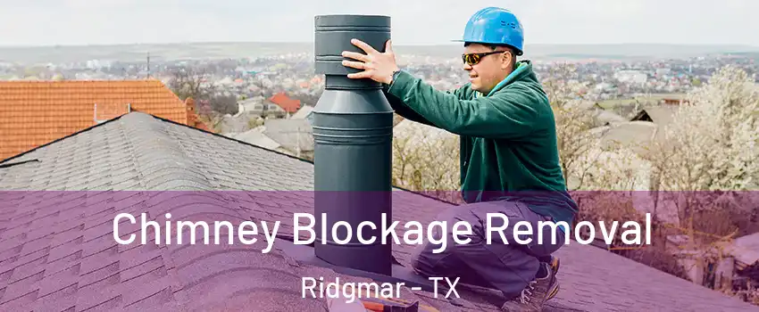 Chimney Blockage Removal Ridgmar - TX