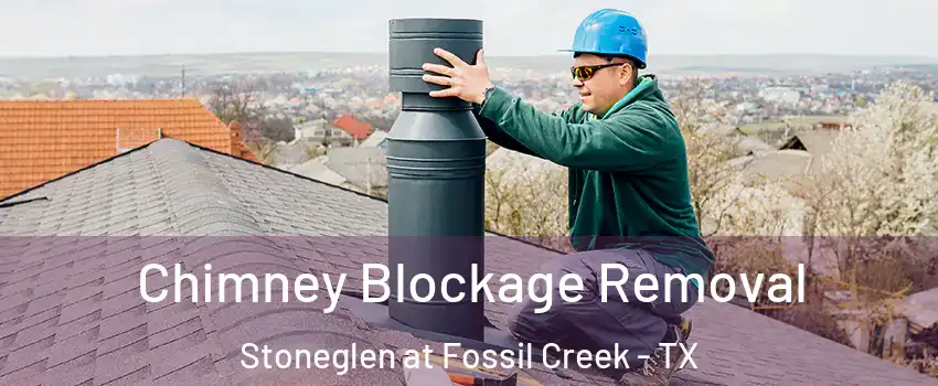 Chimney Blockage Removal Stoneglen at Fossil Creek - TX