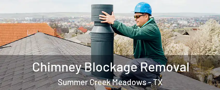 Chimney Blockage Removal Summer Creek Meadows - TX
