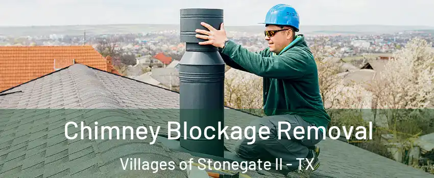 Chimney Blockage Removal Villages of Stonegate II - TX