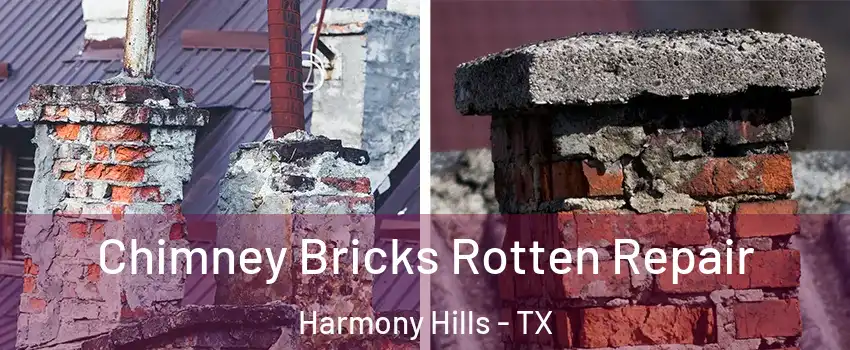 Chimney Bricks Rotten Repair Harmony Hills - TX