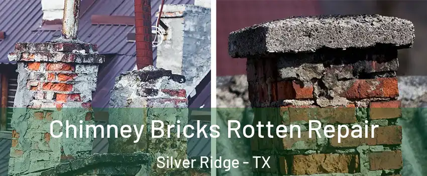 Chimney Bricks Rotten Repair Silver Ridge - TX