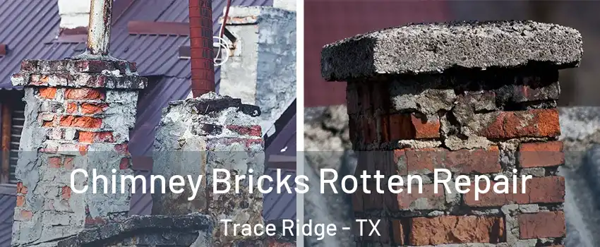 Chimney Bricks Rotten Repair Trace Ridge - TX
