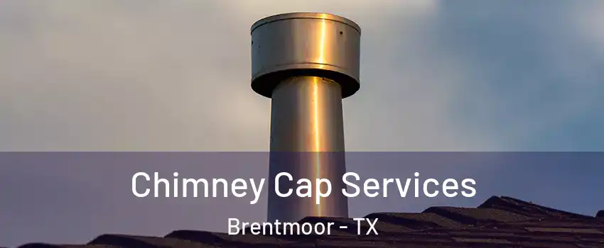 Chimney Cap Services Brentmoor - TX