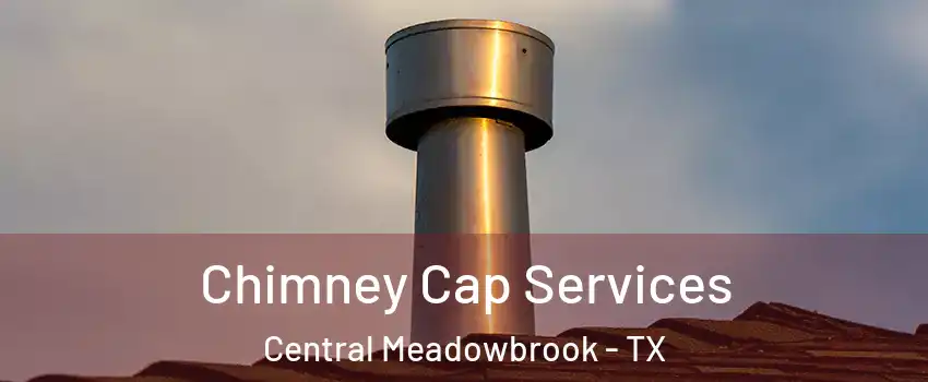 Chimney Cap Services Central Meadowbrook - TX