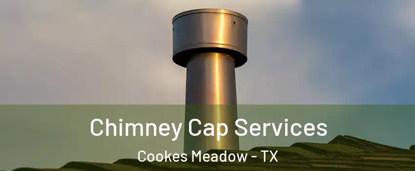 Chimney Cap Services Cookes Meadow - TX